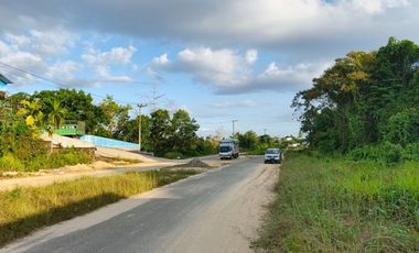 Dijual Tanah Komersil Cocok untuk Bangun Gudang atau Ruko Jalur Ke Area Tambang Morosi