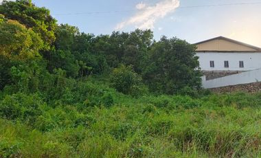 Dijual Tanah Komersil Cocok untuk Bangun Gudang atau Ruko Jalur Ke Area Tambang Morosi