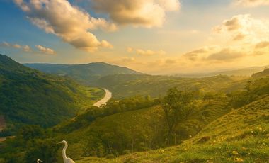 SE VENDEN  LOTES EXCLUSIVOS EN MALABAR – CERRITOS, PEREIRA