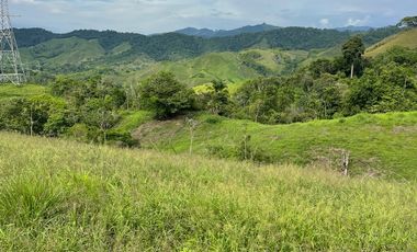 SE VENDEN  LOTES EXCLUSIVOS EN MALABAR – CERRITOS, PEREIRA