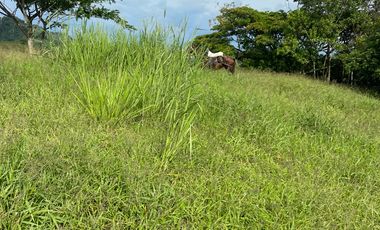 SE VENDEN  LOTES EXCLUSIVOS EN MALABAR – CERRITOS, PEREIRA