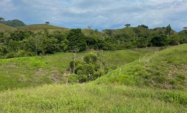 SE VENDEN  LOTES EXCLUSIVOS EN MALABAR – CERRITOS, PEREIRA