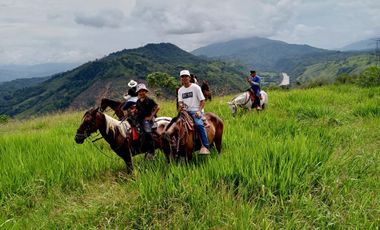 SE VENDEN  LOTES EXCLUSIVOS EN MALABAR – CERRITOS, PEREIRA