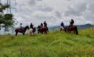 SE VENDEN  LOTES EXCLUSIVOS EN MALABAR – CERRITOS, PEREIRA