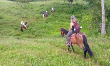 SE VENDEN  LOTES EXCLUSIVOS EN MALABAR – CERRITOS, PEREIRA