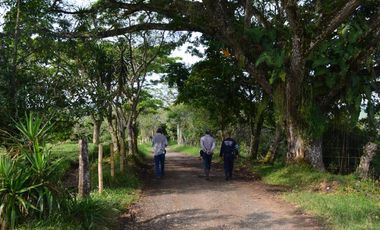 SE VENDEN  LOTES EXCLUSIVOS EN MALABAR – CERRITOS, PEREIRA