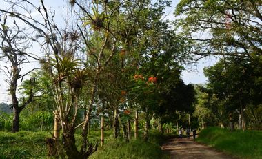 SE VENDEN  LOTES EXCLUSIVOS EN MALABAR – CERRITOS, PEREIRA