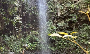 SE VENDEN  LOTES EXCLUSIVOS EN MALABAR – CERRITOS, PEREIRA