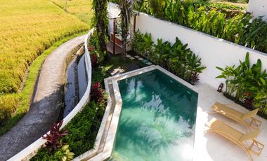 2-Bedroom Villa with Bright Open Living Spaces in Cepaka