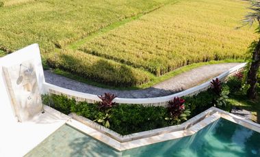 2-Bedroom Villa with Bright Open Living Spaces in Cepaka