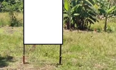 dijual tanah di prigi mranggen