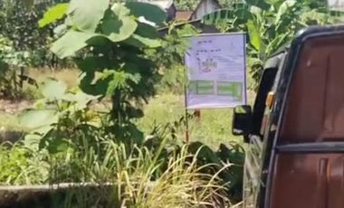 dijual tanah di prigi mranggen