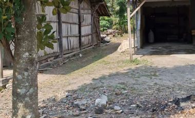 dijual tanah di prigi mranggen