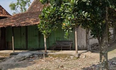 dijual tanah di prigi mranggen