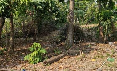 dijual tanah di prigi mranggen