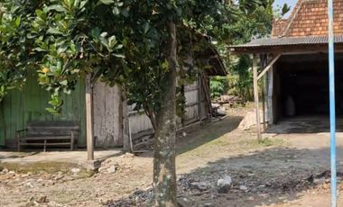 dijual tanah di prigi mranggen