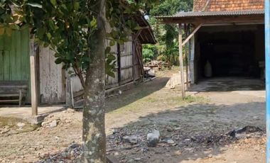 dijual tanah di prigi mranggen