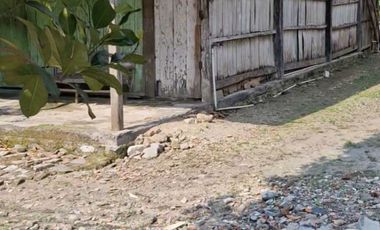 dijual tanah di prigi mranggen