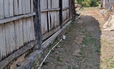 dijual tanah di prigi mranggen