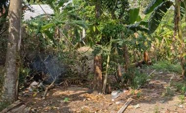 dijual tanah di prigi mranggen