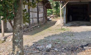 dijual tanah di prigi mranggen