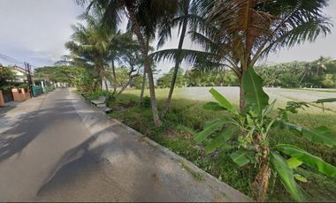 Tanah Tamantirto Dekat UMY, Tepi Aspal View Sawah Cocok Kost Homestay