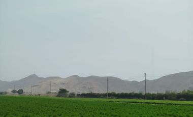 VENTA DE TERRENO EN CARABAYLLO ¡Gran Oportunidad de Inversión en Carabayllo! 🏡💰