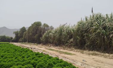 VENTA DE TERRENO EN CARABAYLLO ¡Gran Oportunidad de Inversión en Carabayllo! 🏡💰