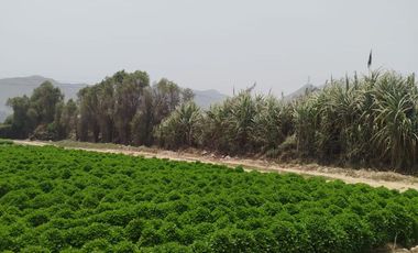 VENTA DE TERRENO EN CARABAYLLO ¡Gran Oportunidad de Inversión en Carabayllo! 🏡💰