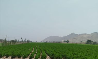 VENTA DE TERRENO EN CARABAYLLO ¡Gran Oportunidad de Inversión en Carabayllo! 🏡💰
