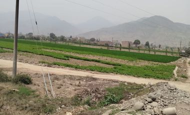 VENTA DE TERRENO EN CARABAYLLO ¡Gran Oportunidad de Inversión en Carabayllo! 🏡💰