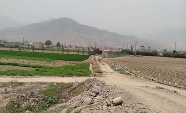 VENTA DE TERRENO EN CARABAYLLO ¡Gran Oportunidad de Inversión en Carabayllo! 🏡💰