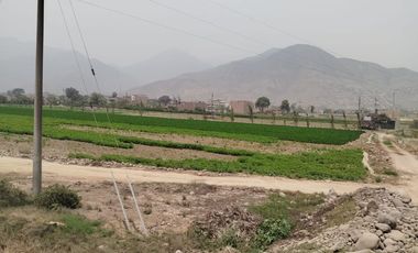 VENTA DE TERRENO EN CARABAYLLO ¡Gran Oportunidad de Inversión en Carabayllo! 🏡💰