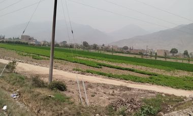 VENTA DE TERRENO EN CARABAYLLO ¡Gran Oportunidad de Inversión en Carabayllo! 🏡💰
