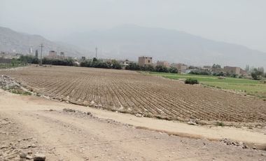 VENTA DE TERRENO EN CARABAYLLO ¡Gran Oportunidad de Inversión en Carabayllo! 🏡💰