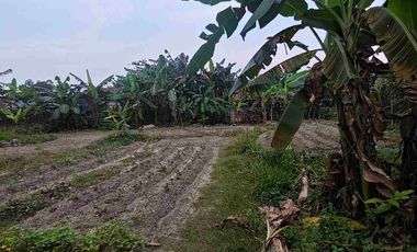 Disewa kavling strategis saidan patun Buaran Tangerang Selatan