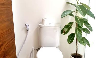 1-Bedroom Villa with Rooftop Ricefield Views in Pererenan