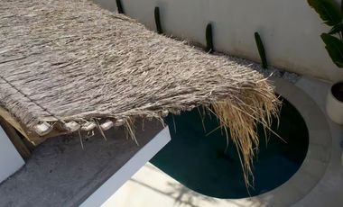 1-Bedroom Villa with Rooftop Ricefield Views in Pererenan