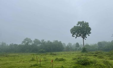 Residential Farm Lot for Sale