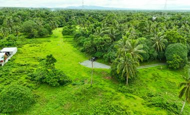 Residential Farm Lot for Sale