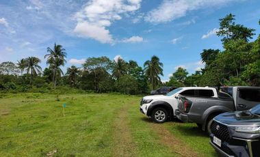 Residential Farm Lot for Sale