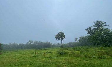 Residential Farm Lot for Sale