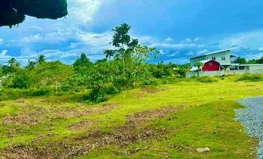 Residential Farm Lot for Sale