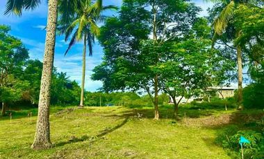 Residential Farm Lot for Sale