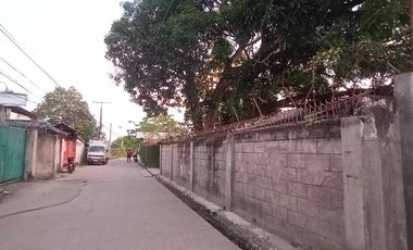 HOUSE & LOT FOR SALE – RARE 1,000 SQM PROPERTY