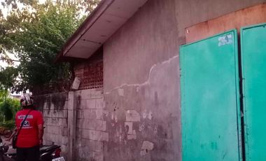 HOUSE & LOT FOR SALE – RARE 1,000 SQM PROPERTY