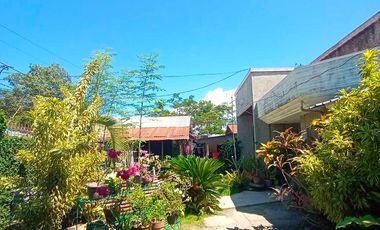 HOUSE & LOT FOR SALE – RARE 1,000 SQM PROPERTY