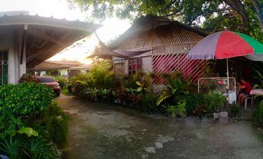 HOUSE & LOT FOR SALE – RARE 1,000 SQM PROPERTY