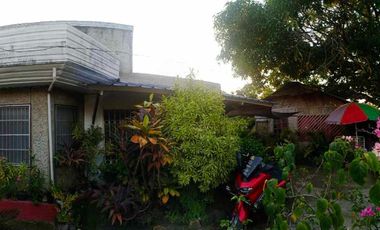 HOUSE & LOT FOR SALE – RARE 1,000 SQM PROPERTY