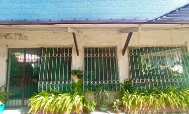 HOUSE & LOT FOR SALE – RARE 1,000 SQM PROPERTY